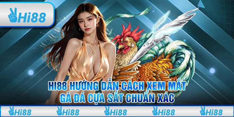 Hi88 Hướng Dẫn Cách Xem Mắt Gà Đá Cựa Sắt Chuẩn Xác 