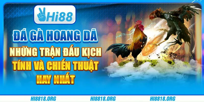 Đá gà hoang dã: Những trận đấu kịch tính và chiến thuật hay nhất